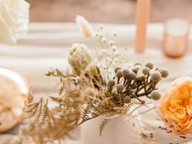 Muse-Chanel-and-Bert-04 -th.jpg